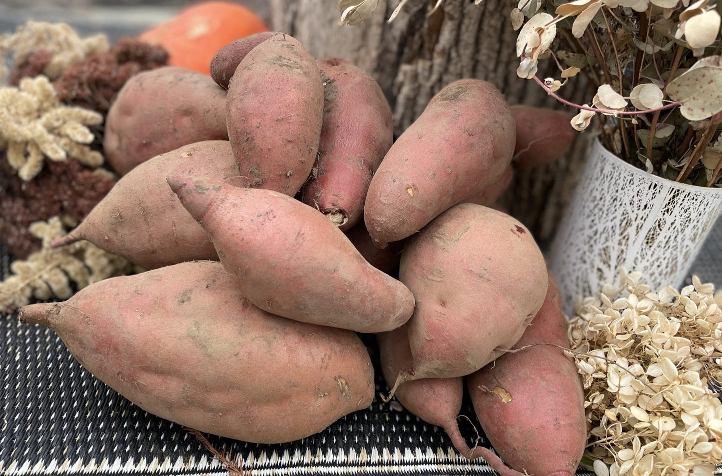 The Sweetest Spuds Foxhollow Farm