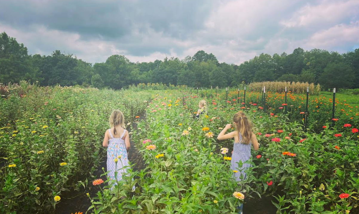 Bluebird Cottage School Foxhollow Farm