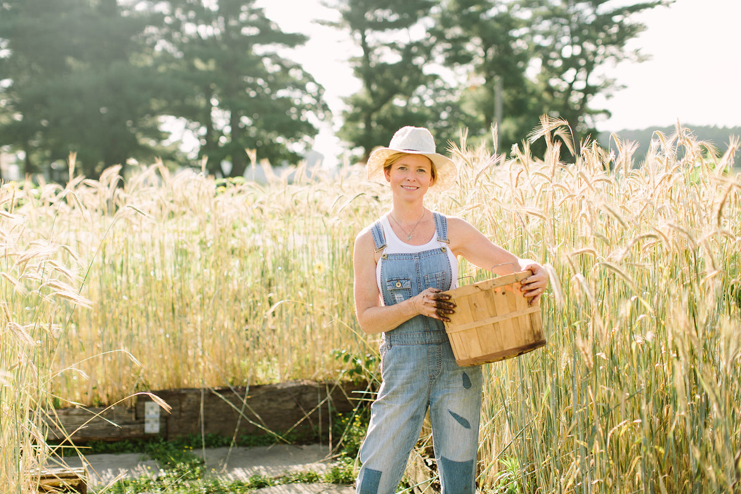 This is the Why Foxhollow Farm