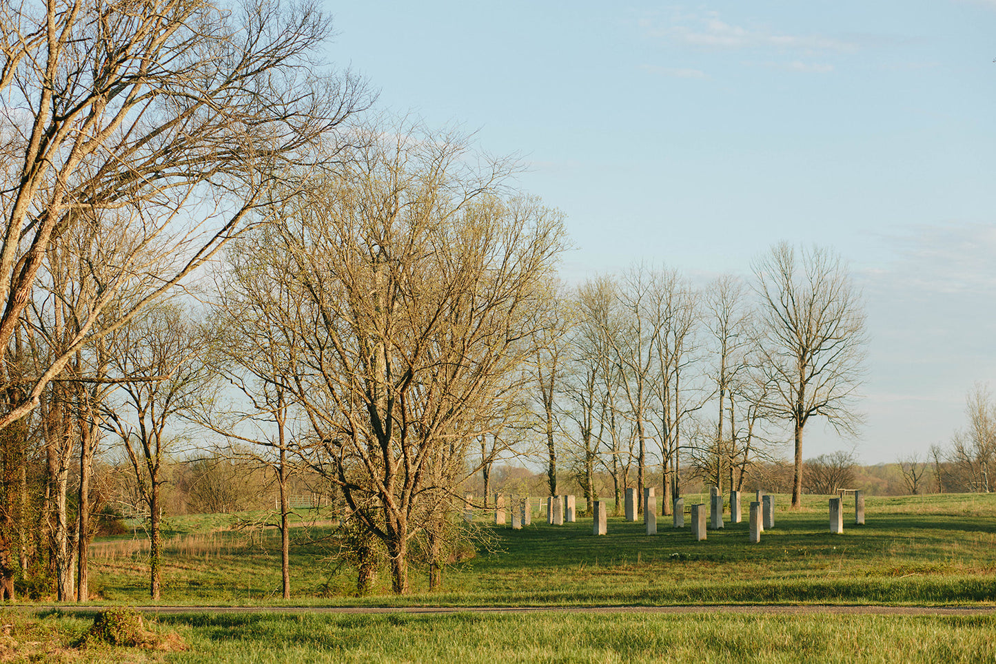 Foxhollow's Stone Circle