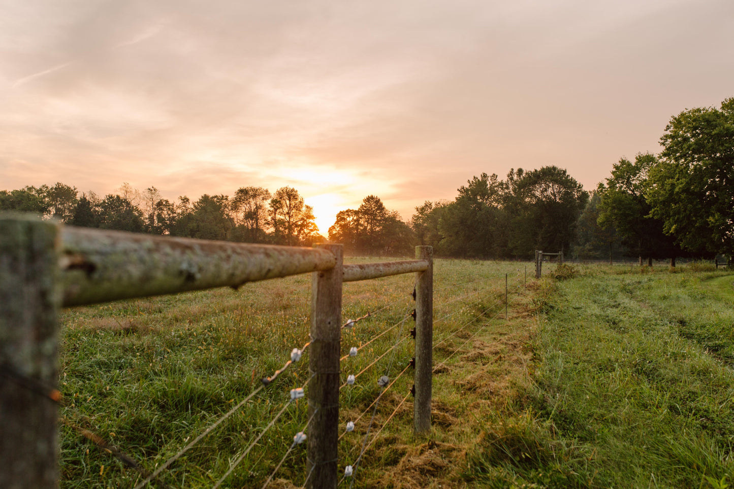 Finding Awareness Foxhollow Farm