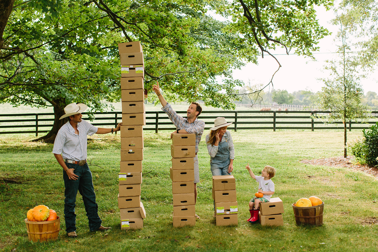 beef share benefits foxhollow farm