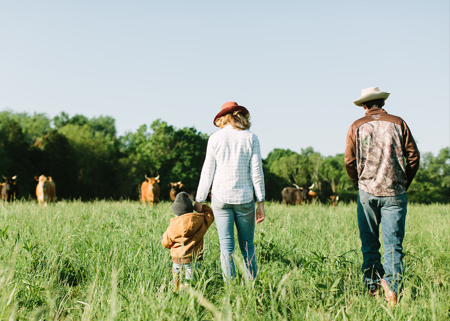 Foxhollow Farm