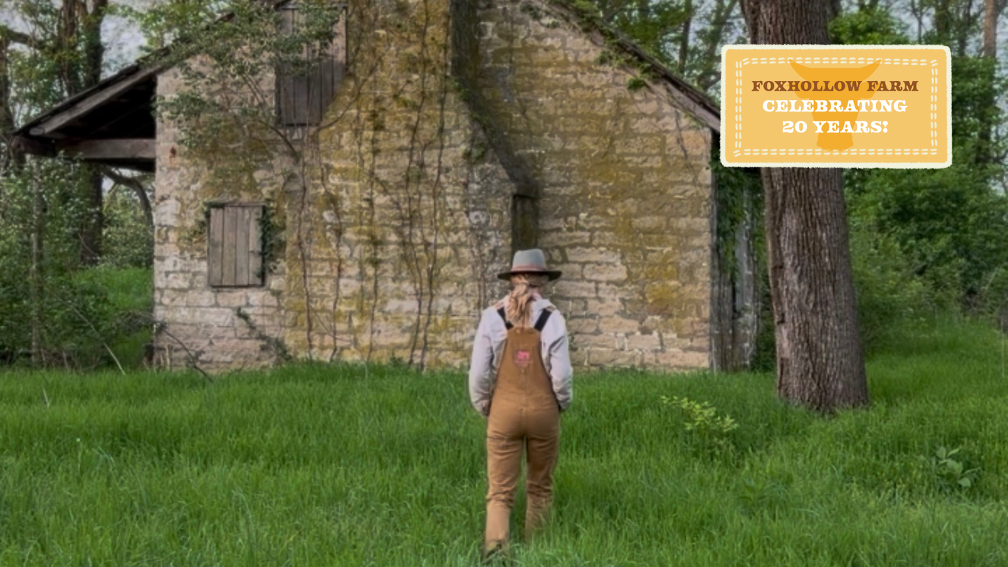 Carnelian Lilies of Summer