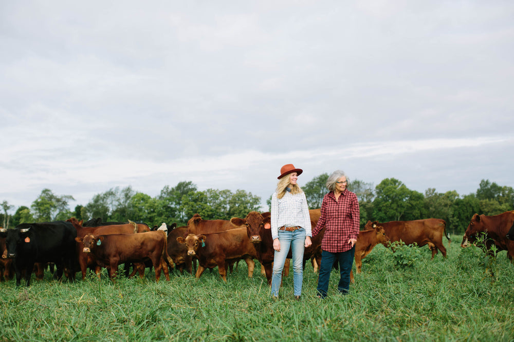 Humane Farming – Foxhollow Farm