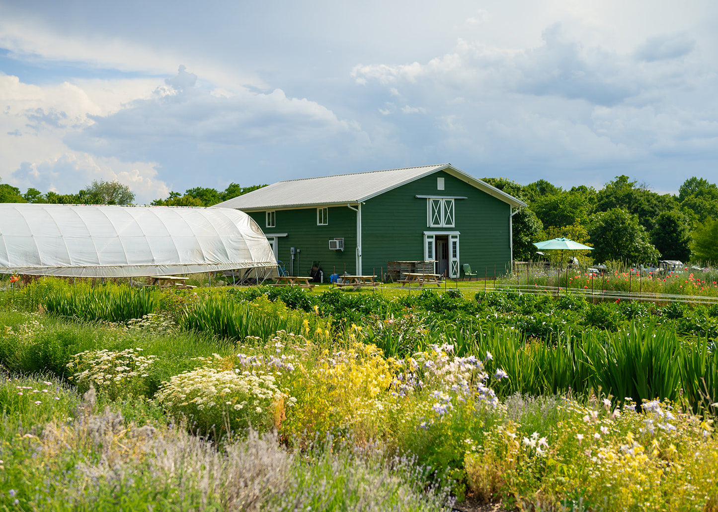 Foxhollow Farm