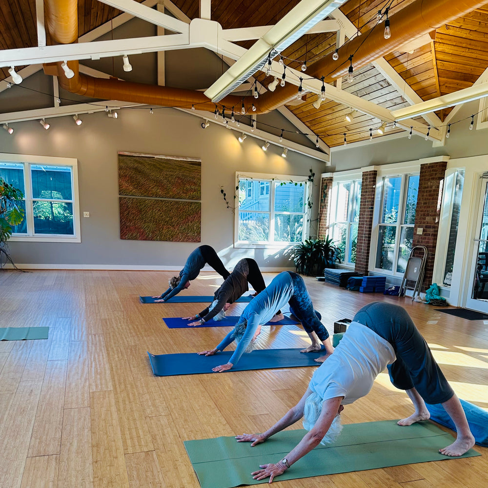 Iyengar Yoga with Jeanne Kennedy