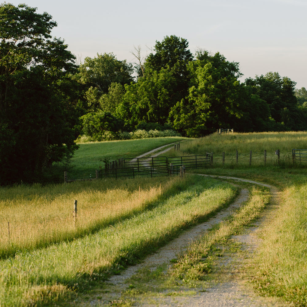 Private Guided Hike