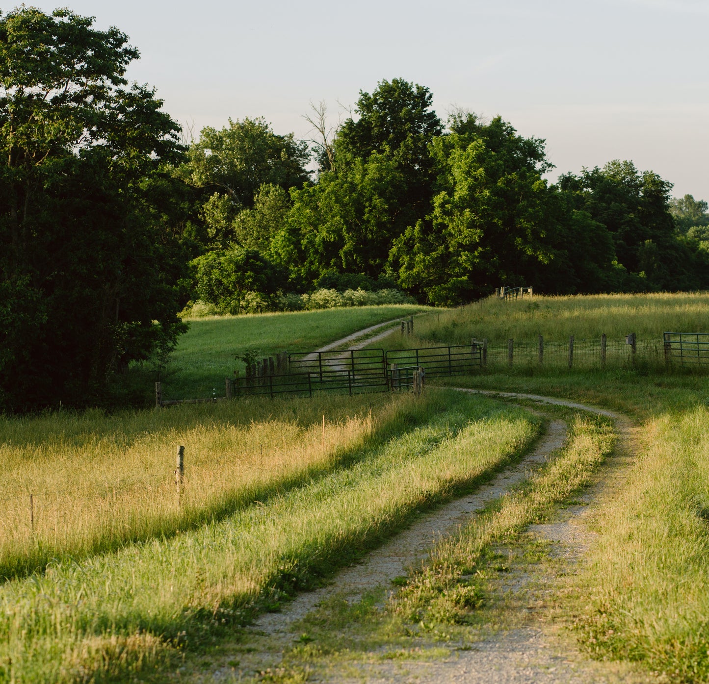 Private Guided Hike