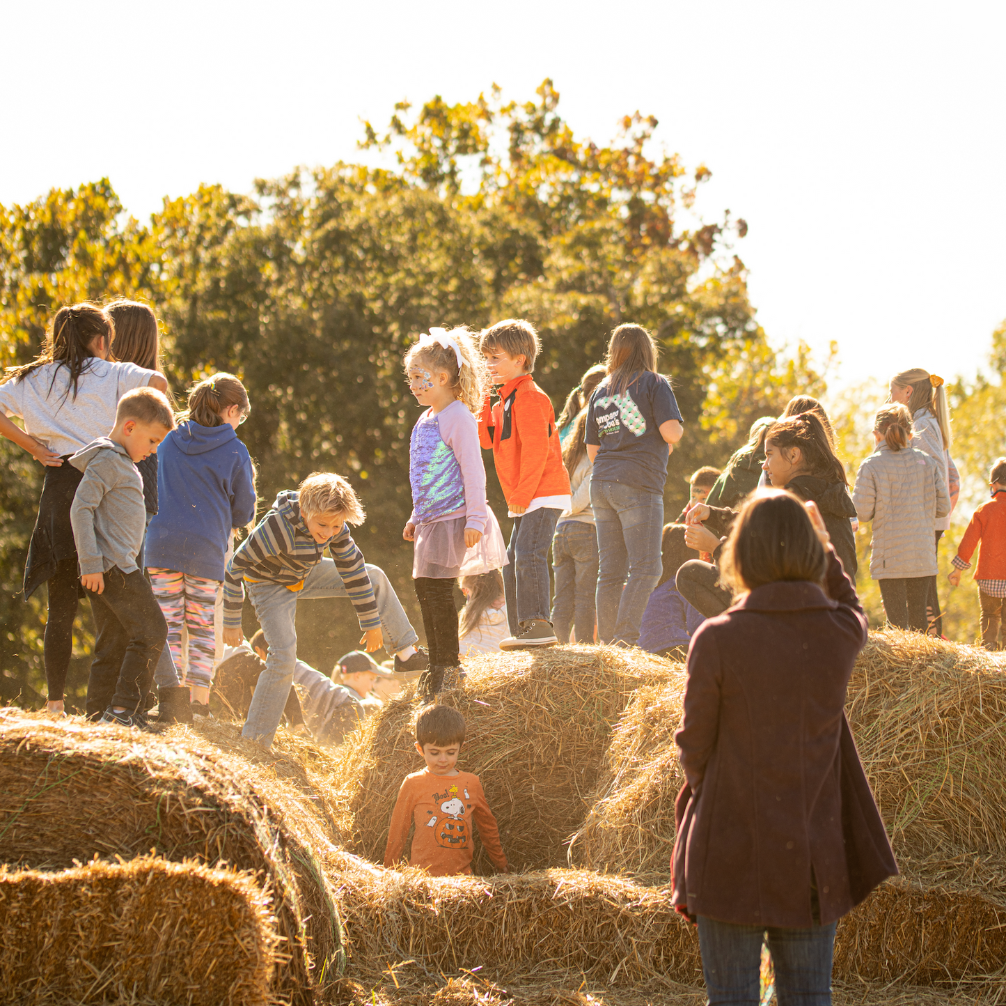 
                  
                    Saturday Ticket – Foxhollow Harvest Festival
                  
                