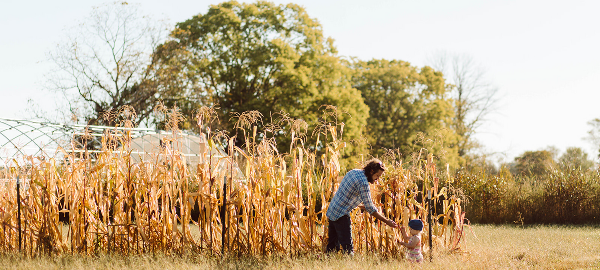 Foxhollow Farm