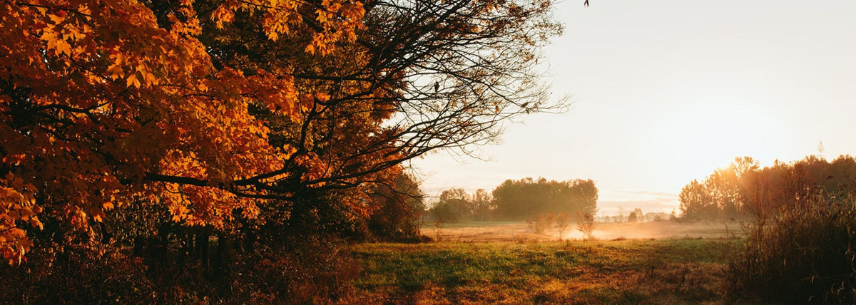 Foxhollow Farm