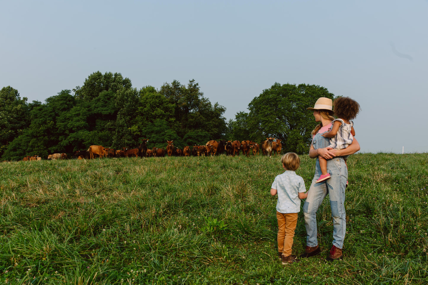 Foxhollow Farm